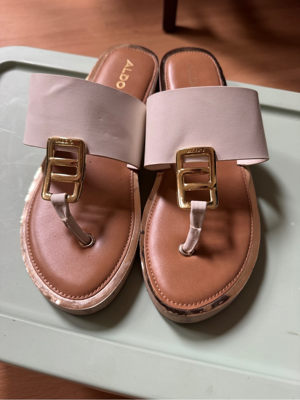 ALDO Pink Leather Toe-Post Sandals with Gold Buckle